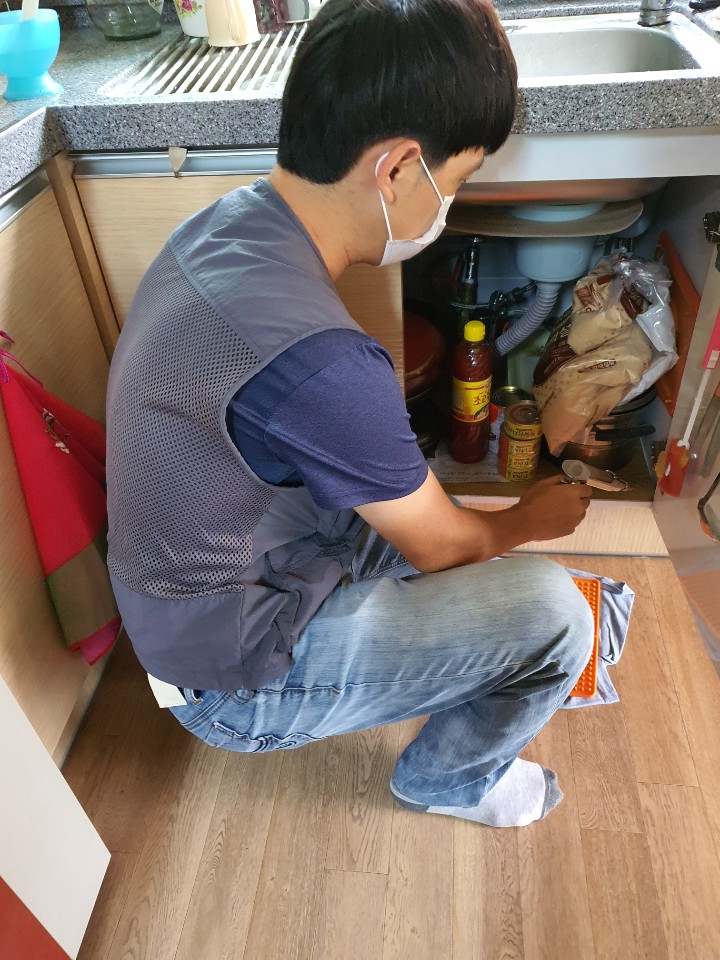 로취버스터즈 이미지