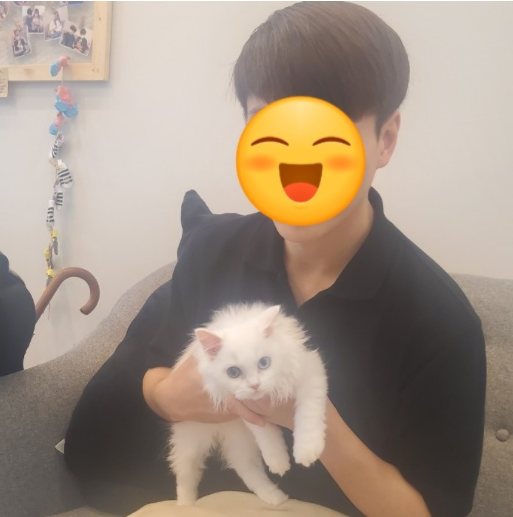 #오드아이 이미지