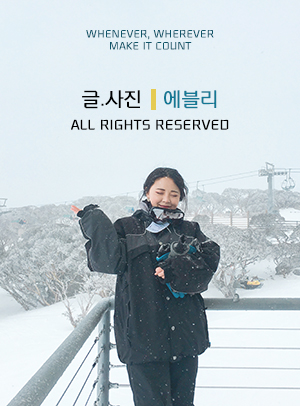 베이쿠마 이미지