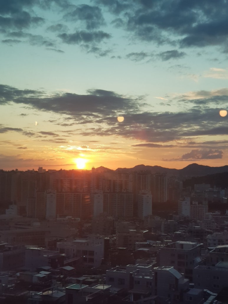 똥카페 이미지