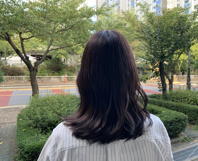 살롱보뇌르 이미지