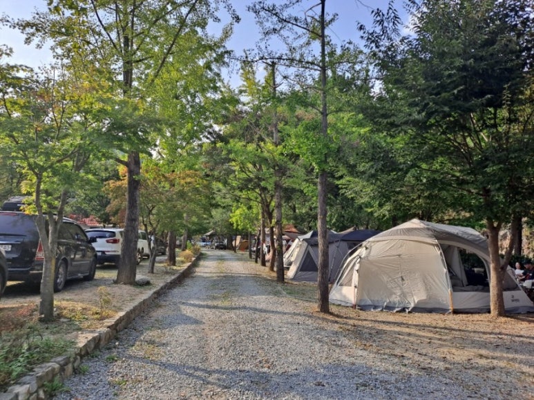 미산가족오토캠핑장 이미지