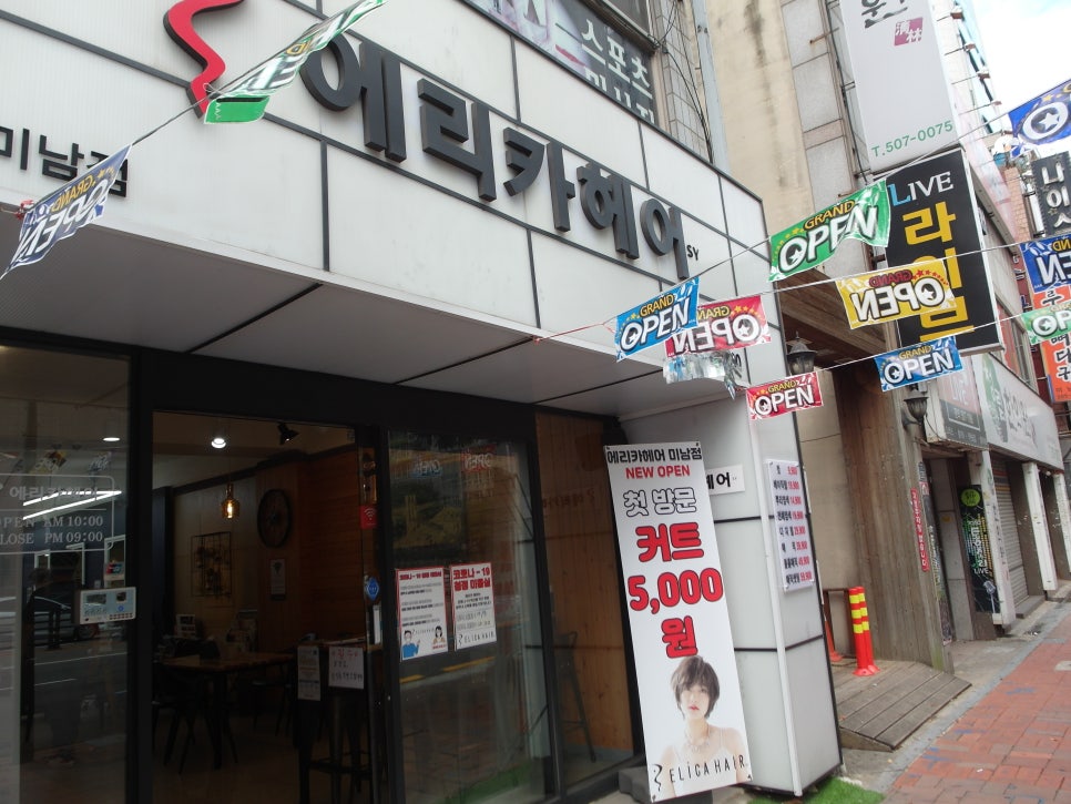 에리카헤어 이미지