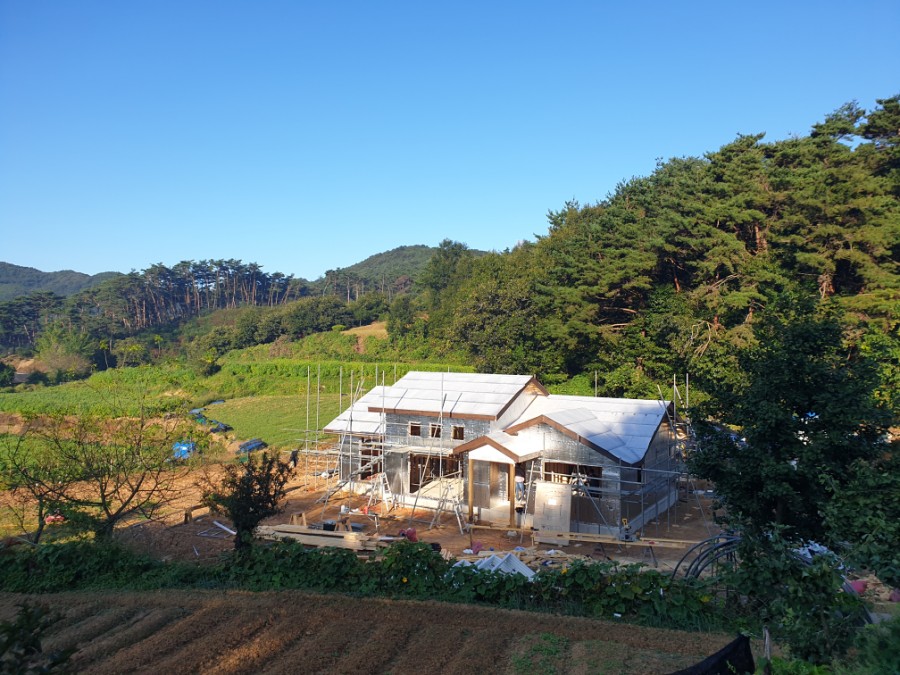 충남시트 이미지