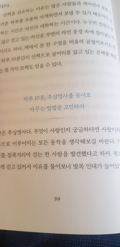 지식나무 이미지