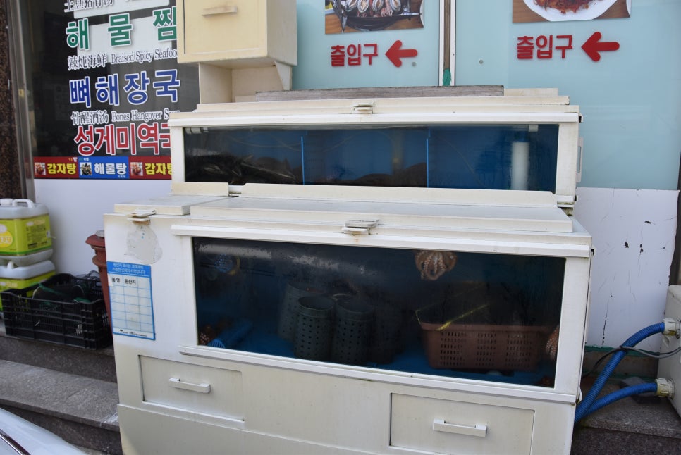 기쁨이네 이미지