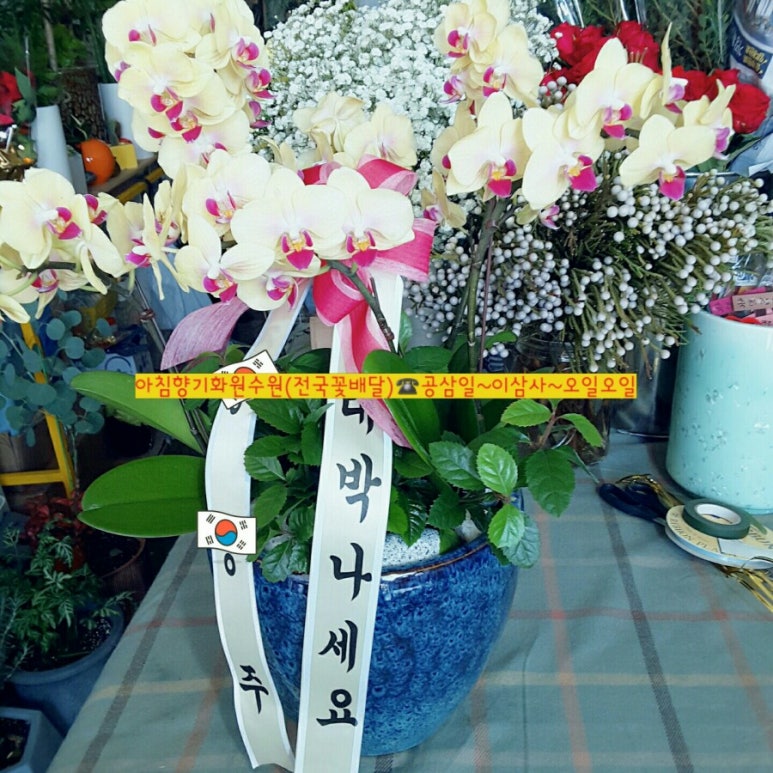 아침향기화원 이미지