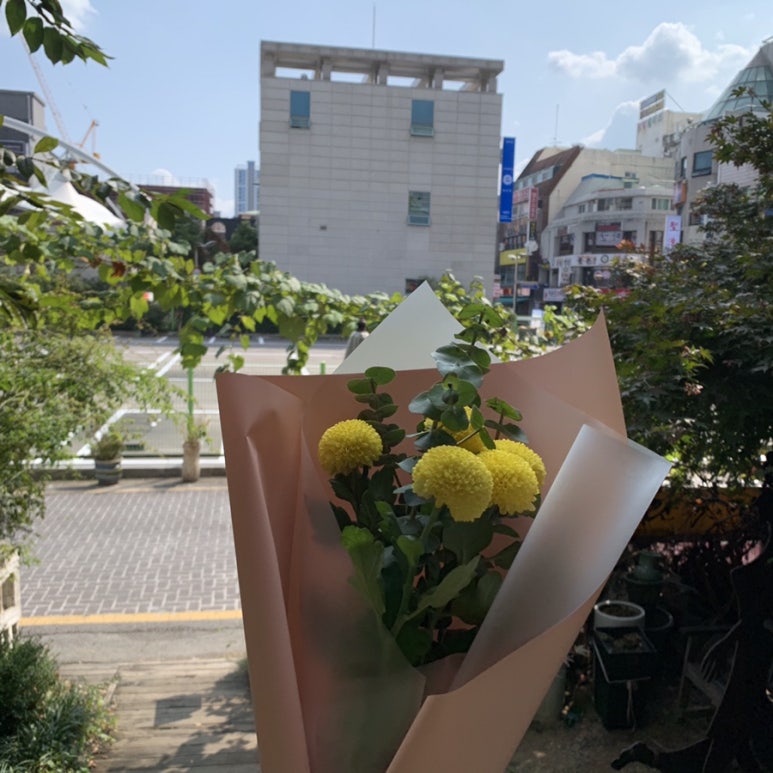 이미란꽃집 이미지