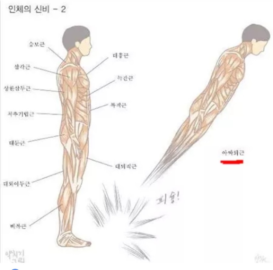 산오징어전어 이미지