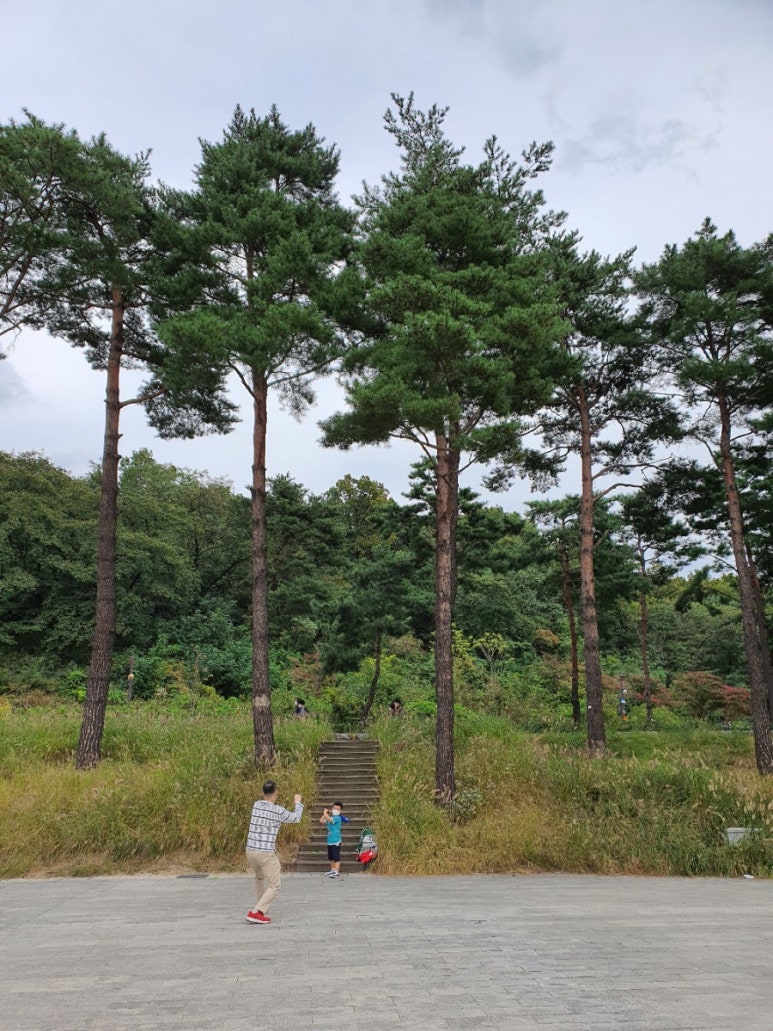 교촌치킨번동점 이미지