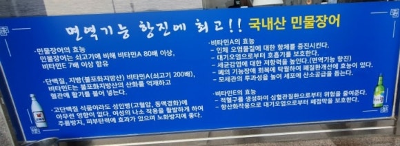 세미장어 이미지