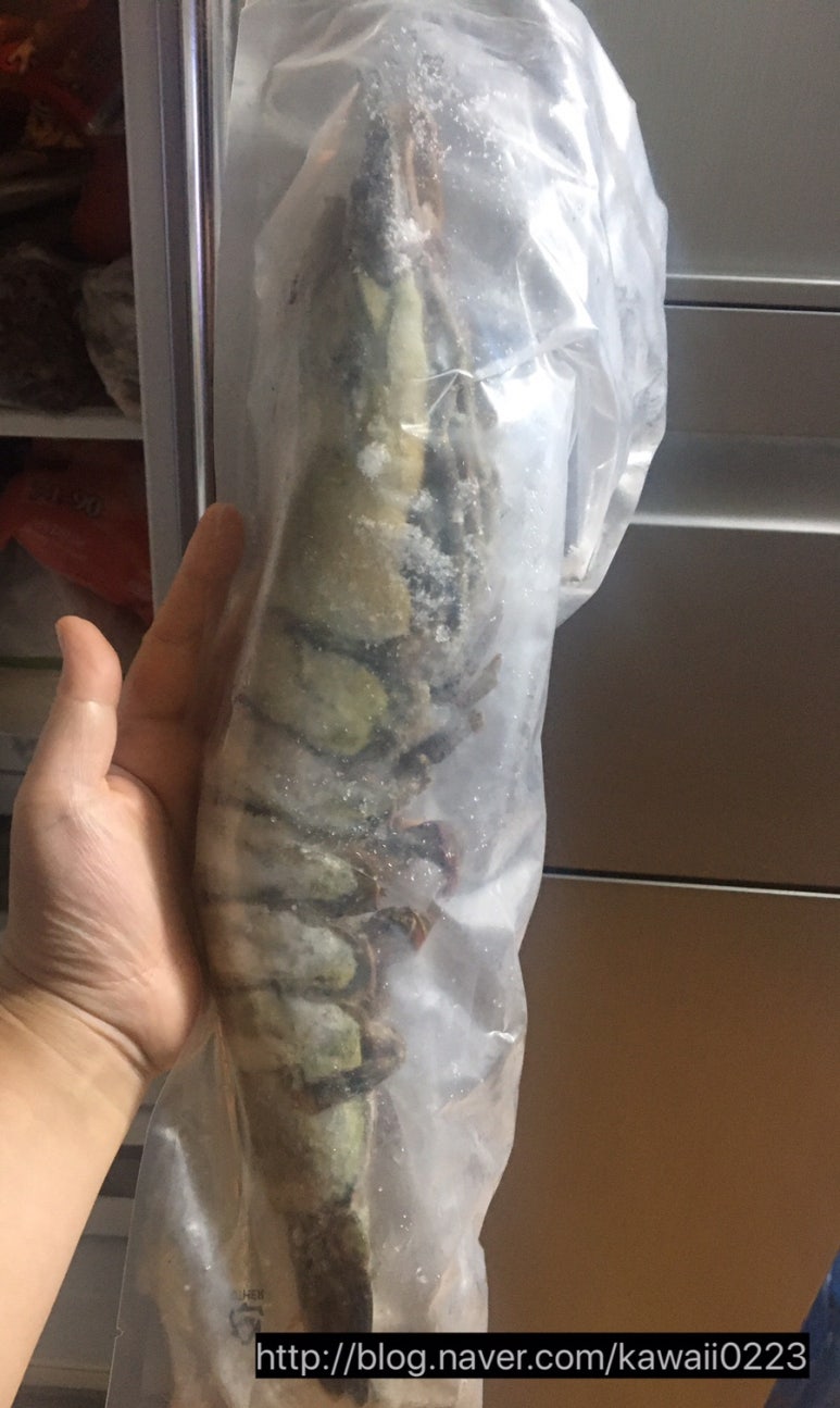 뚱땡이쭈꾸미 이미지