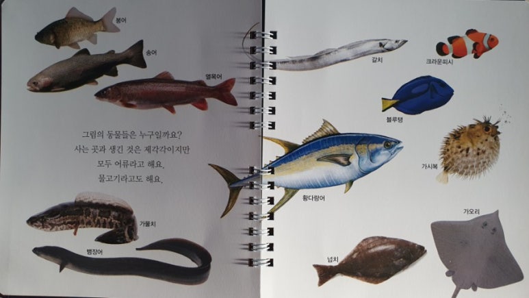 그물과물고기 이미지