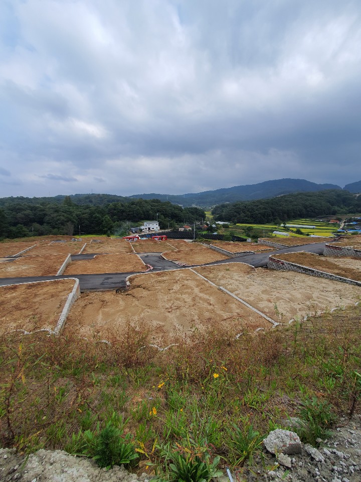 [국도1] 세종시 발산리 이미지