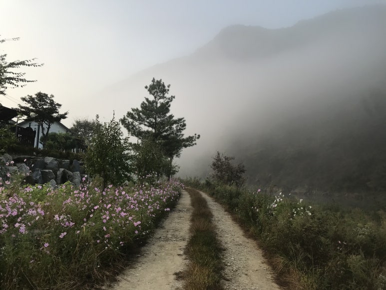 크로바펜션 이미지