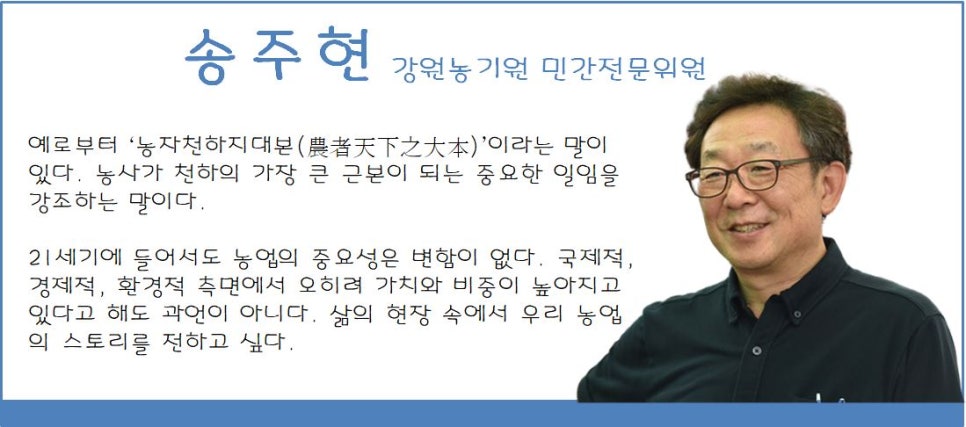 설악산승혜네벌꿀 이미지