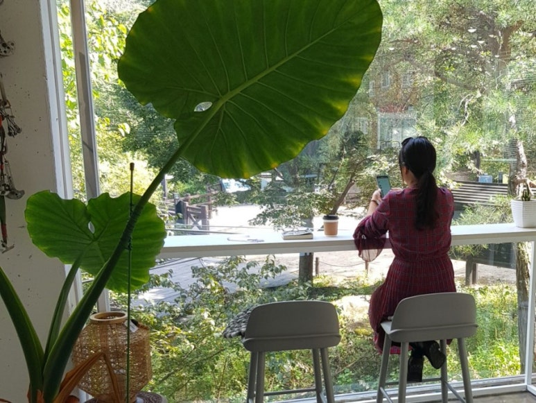 부칸산837 이미지