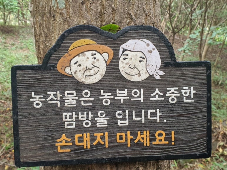 법인행복한농원 이미지