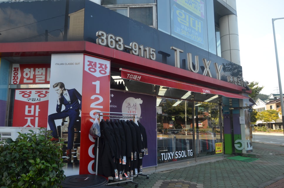 반도턱시 이미지