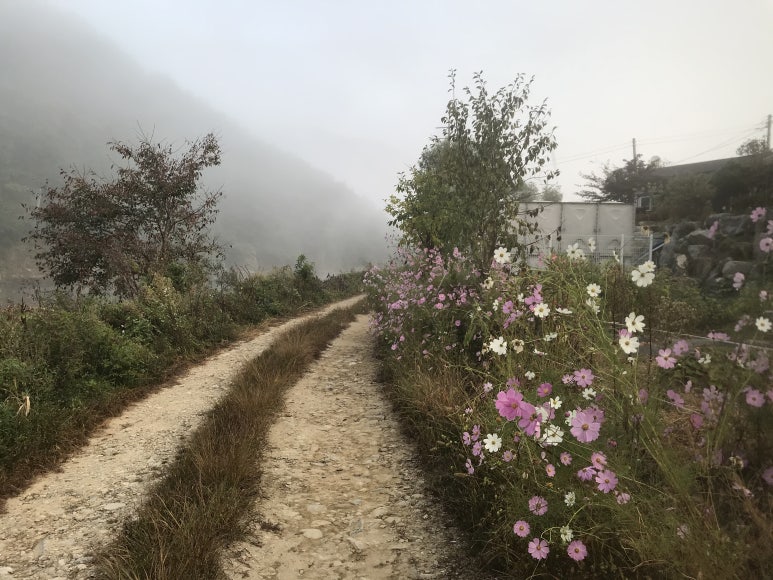 크로바펜션 이미지