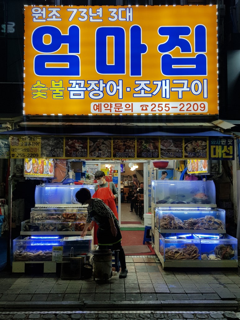 양,아찌 이미지