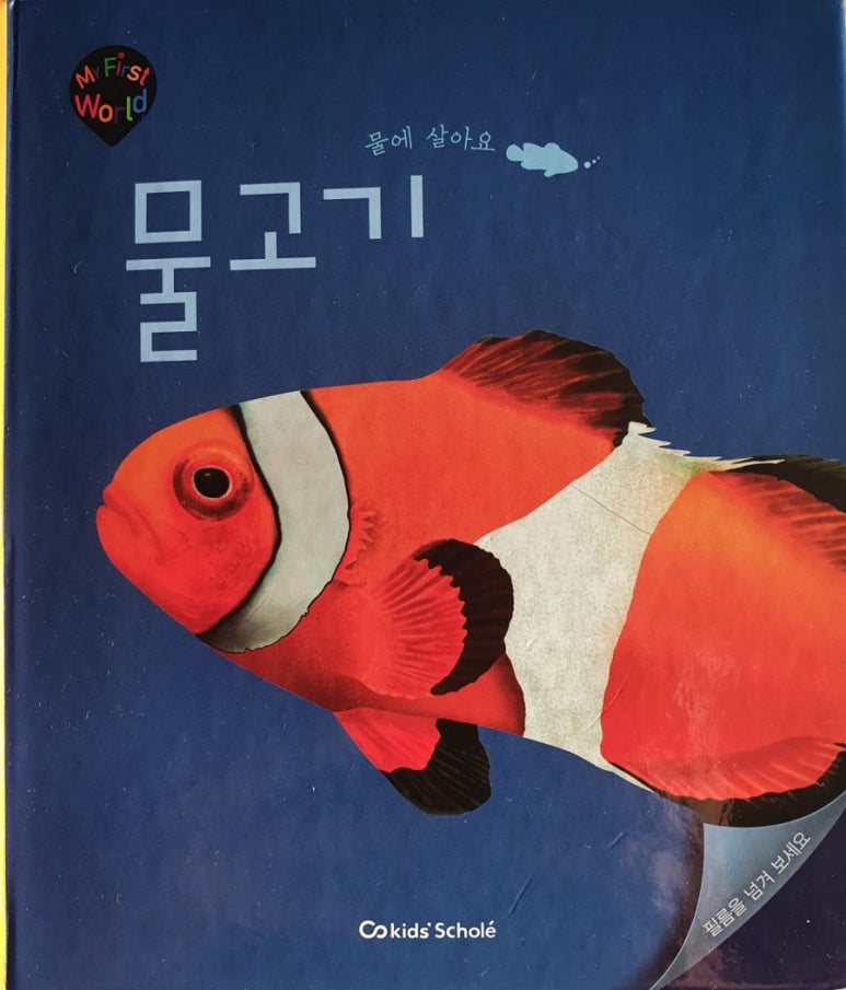 그물과물고기 이미지