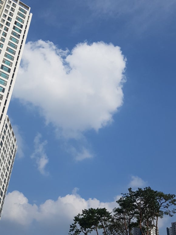 큰사랑 이미지