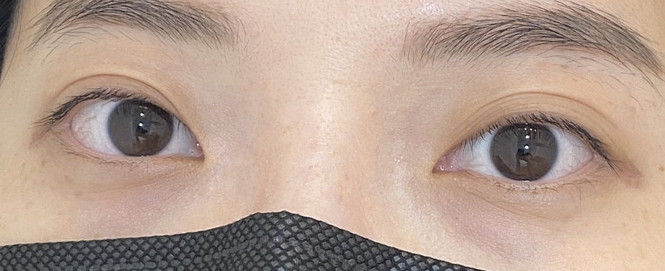 멜로래쉬 이미지