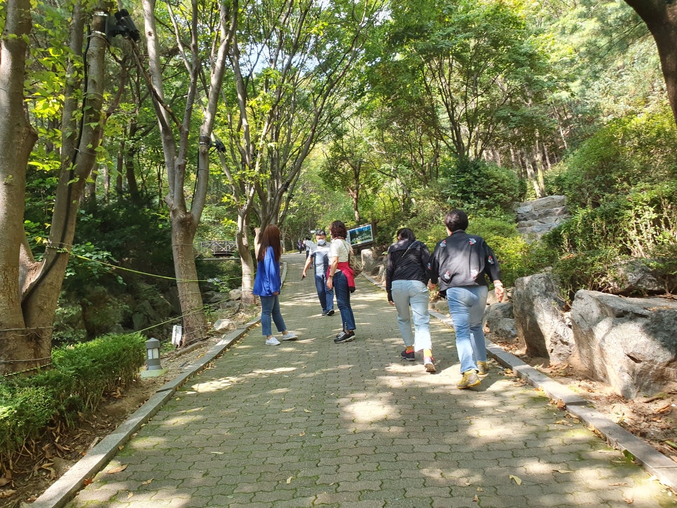 두릉산자연휴양림 이미지