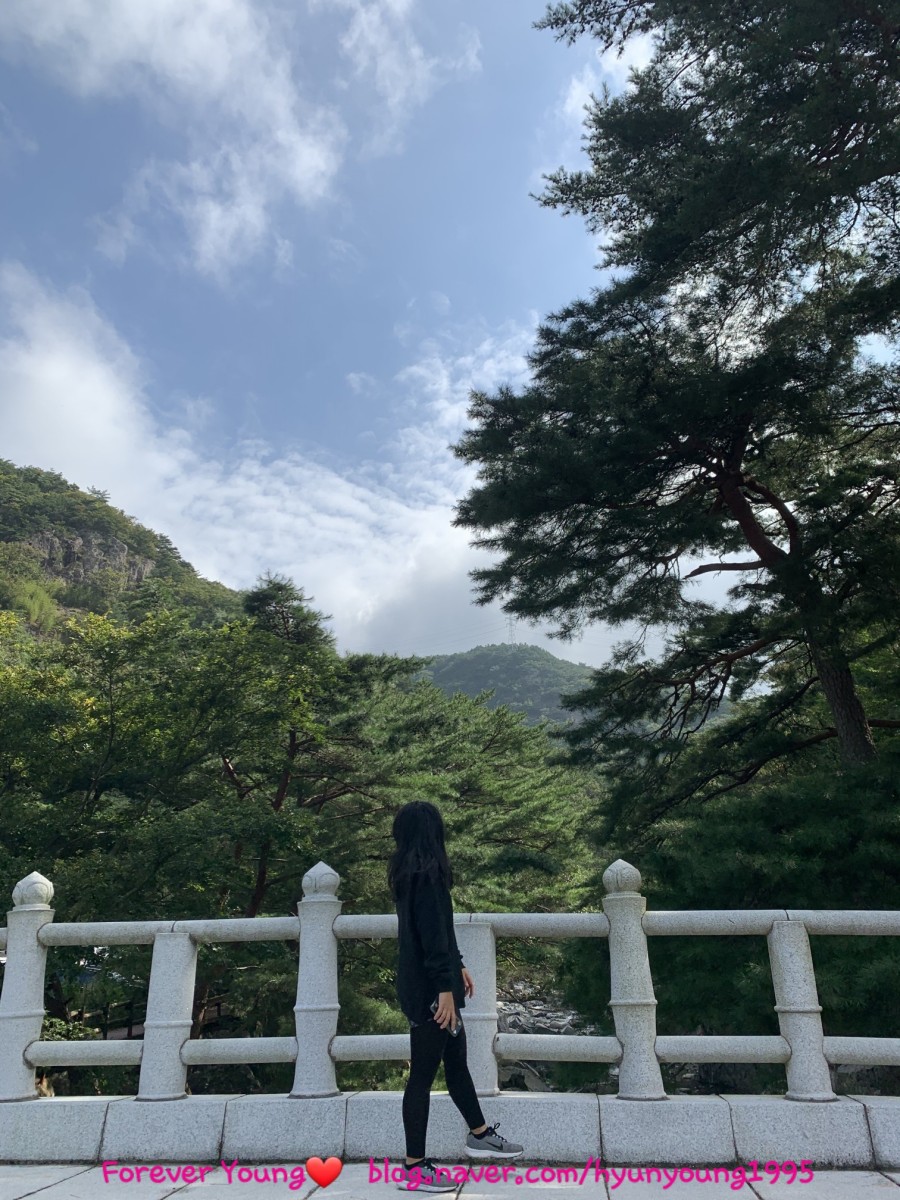 오복땅옛날단팥죽 이미지