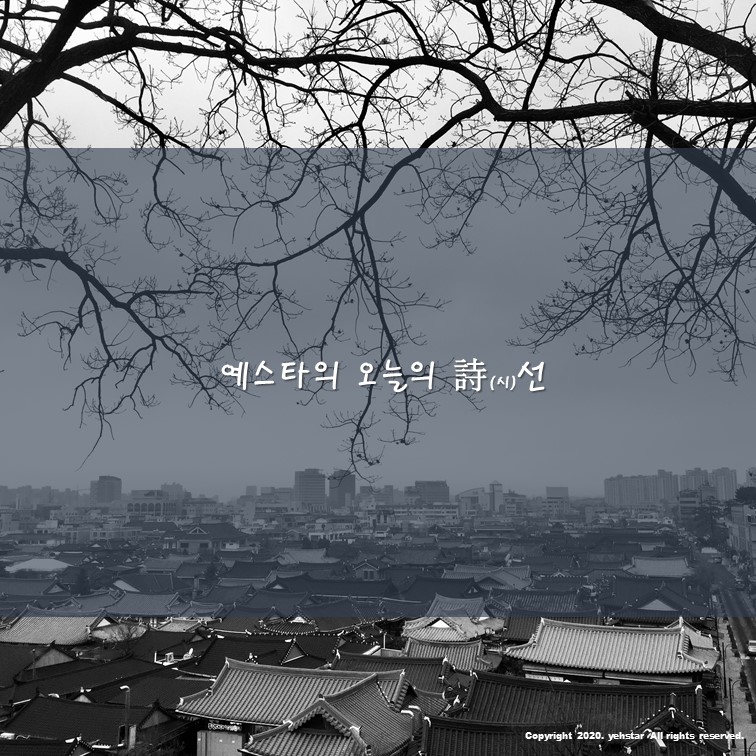 선세탁소 이미지