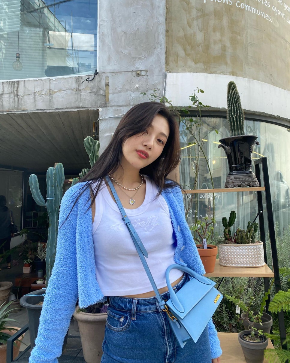 조이식물 이미지