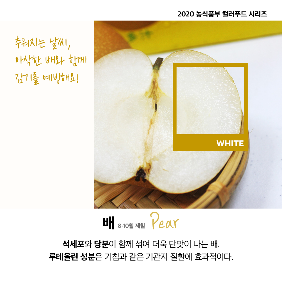 컬러푸드 이미지