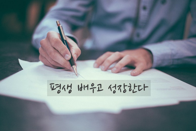 지음교육 이미지