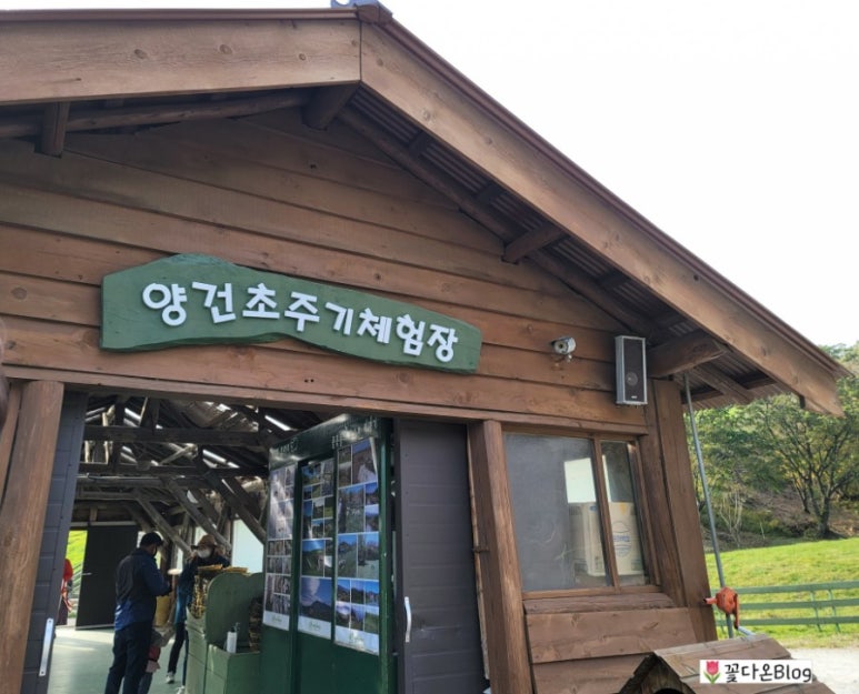 대관령양빵양빵양빵 이미지