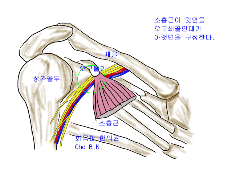화목한의원 이미지