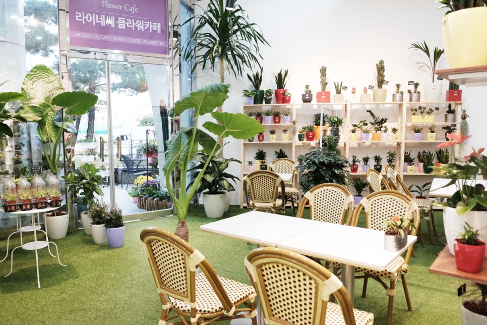행복플라워 이미지