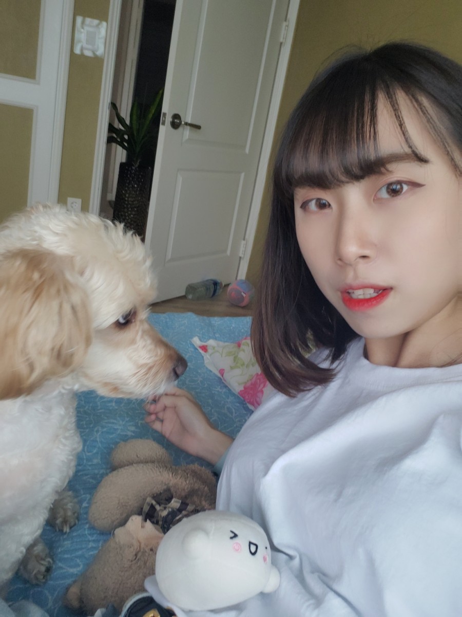 천사번지 이미지