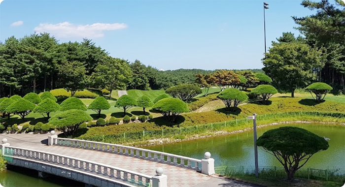 (주)에이치제이매그놀리아용평파인리즈골프앤리조트 이미지