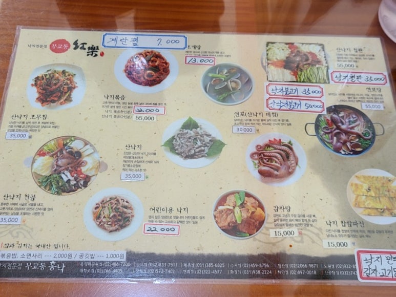 낙지무교동홍낙 이미지