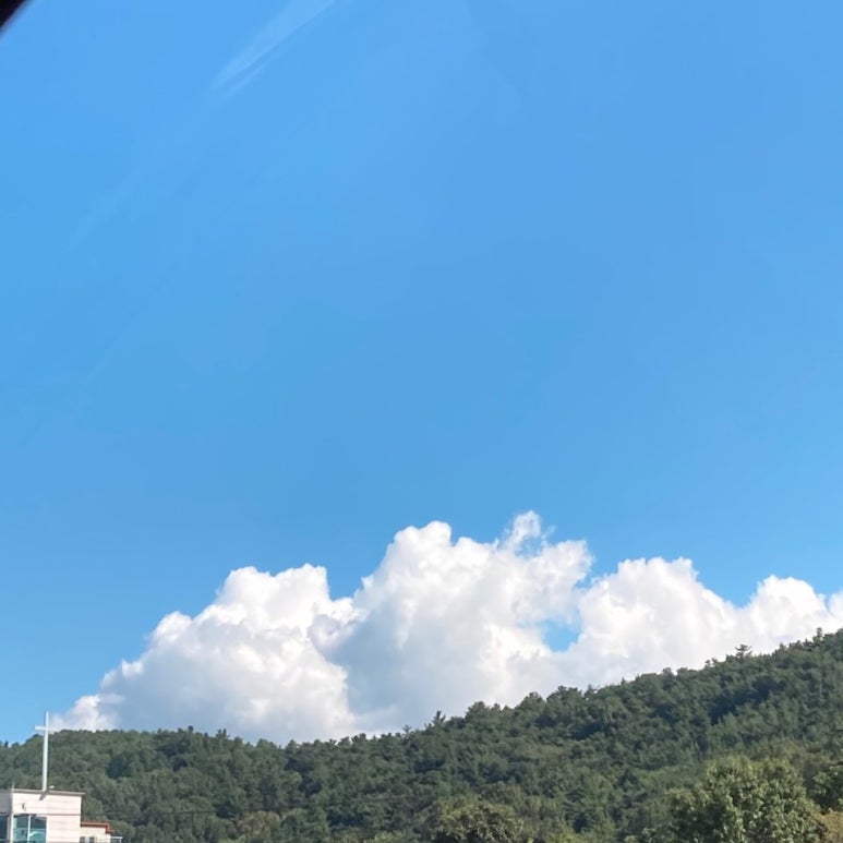 오늘의카페 이미지