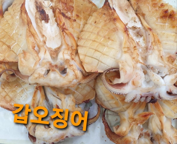 섬마을어부 이미지