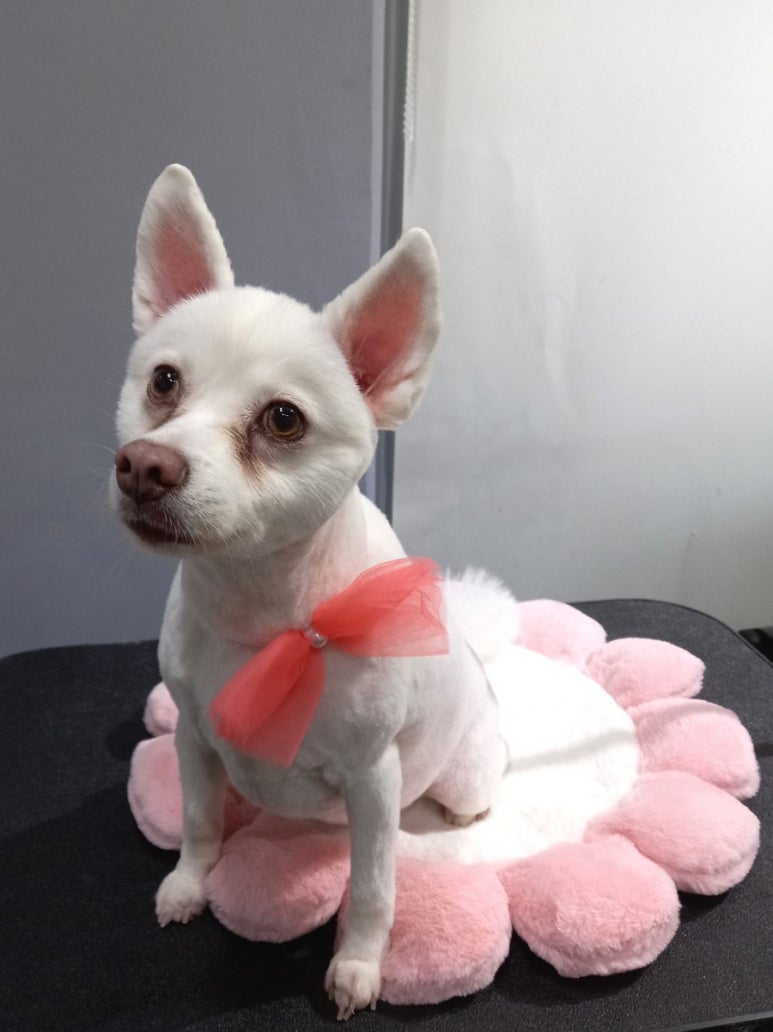 살롱3039 이미지