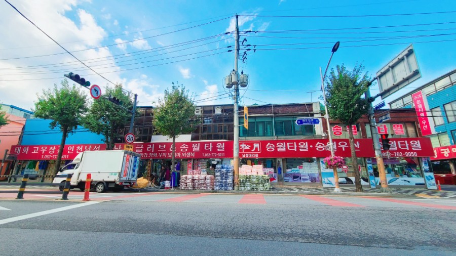 로베르타 이미지