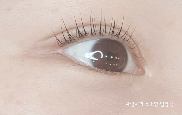 예쁜날 이미지
