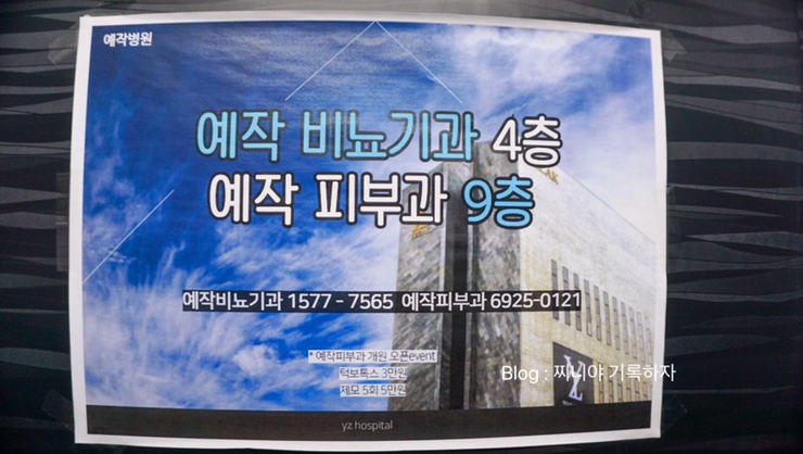 더포레스트스킨 이미지