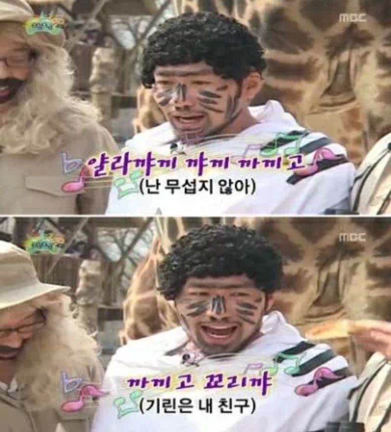 로데오 이미지