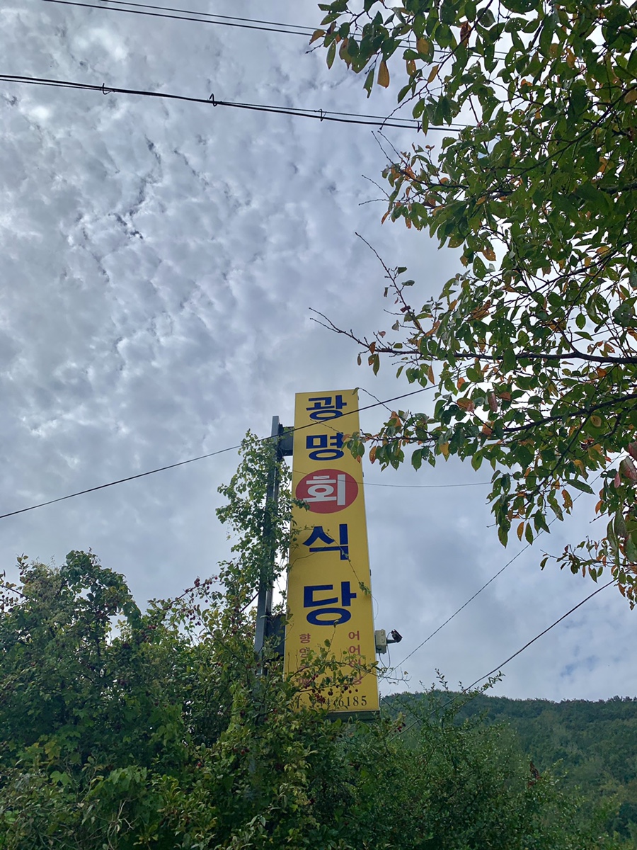 광명회식당 이미지