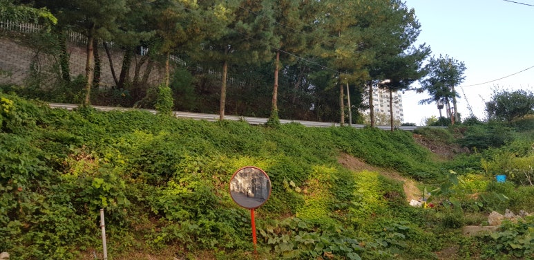청덕주유소 이미지
