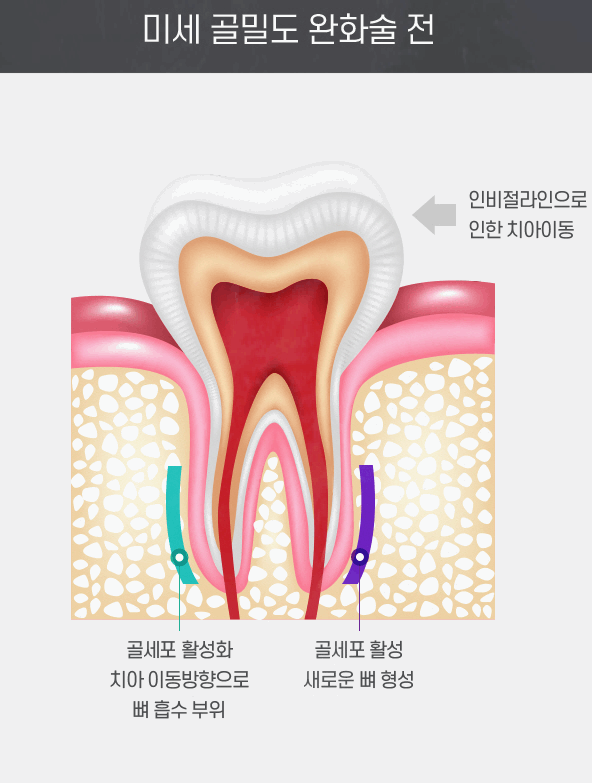 서울뉴치과의원 이미지
